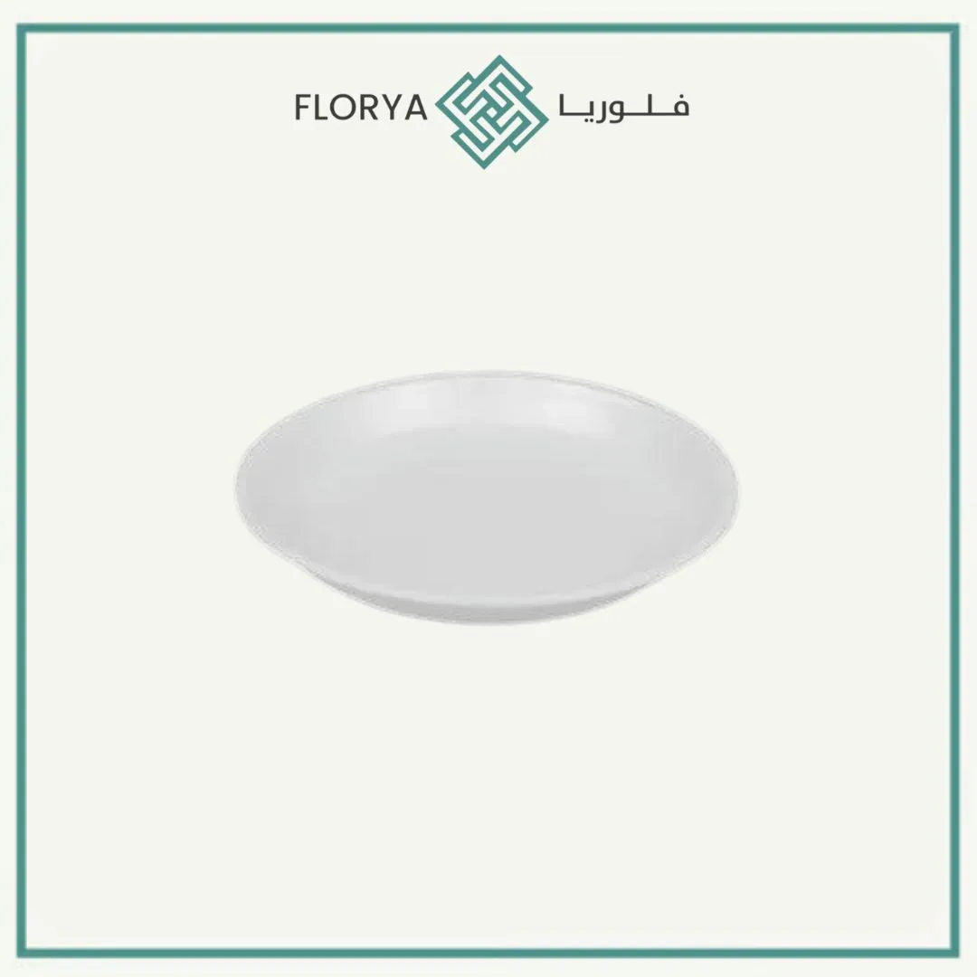 صحن دائري كبير GD25