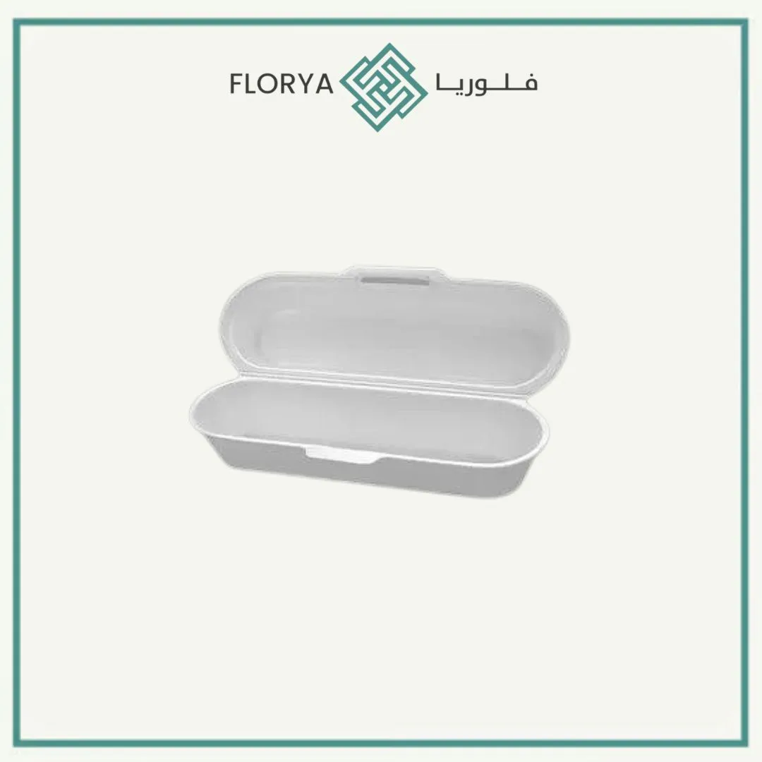علبة هوت دوج كبير HD2