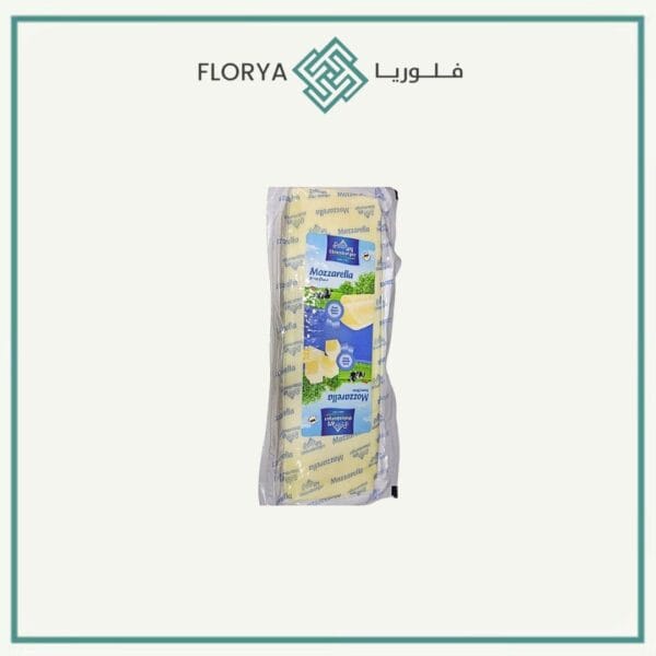 جبنة موزاريلا اولدن بيرغ الماني بلوك 2.5 كجم