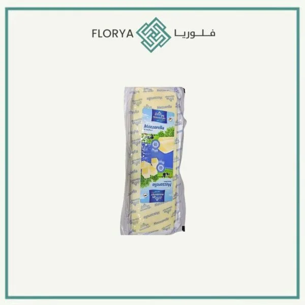 جبنة موزاريلا اولدنبيرغ الماني بلوك 2.5 كجم