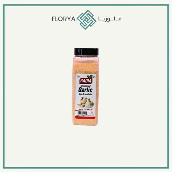 بهارات ثوم باديا 680.4 جم