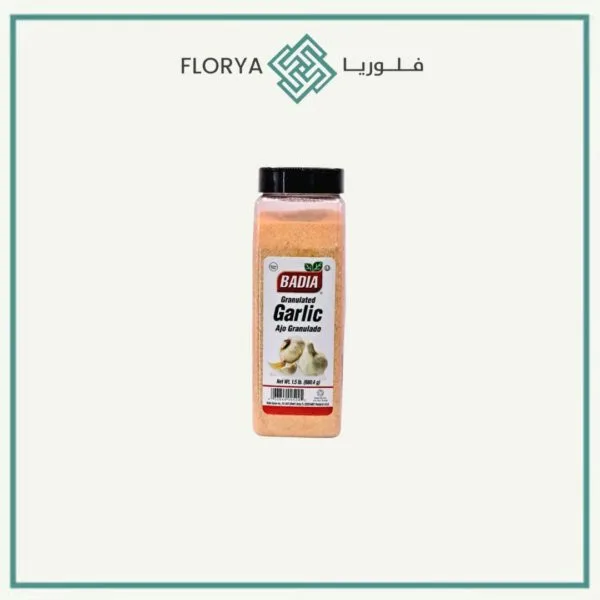 بهارات ثوم باديا 680.4 جم