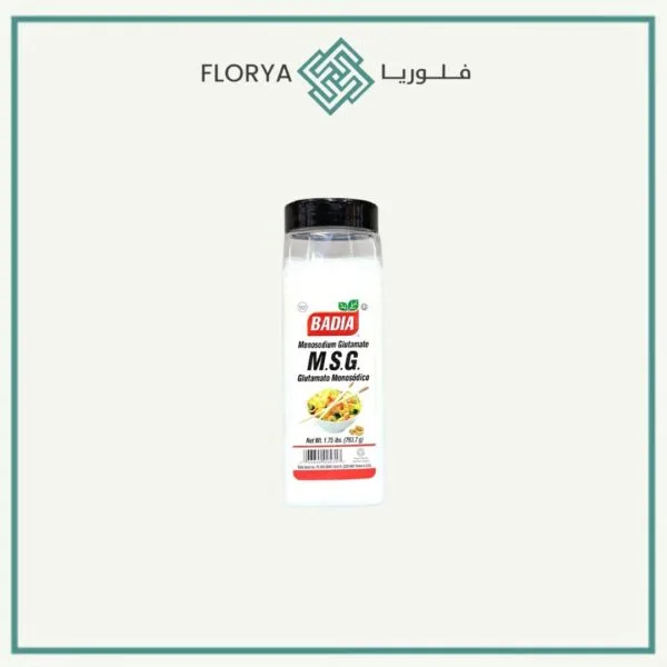 MSG ملح صيني باديا 793 جم
