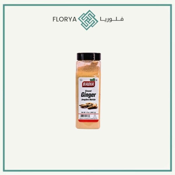 بهارات زنجبيل باديا 340.2 جم
