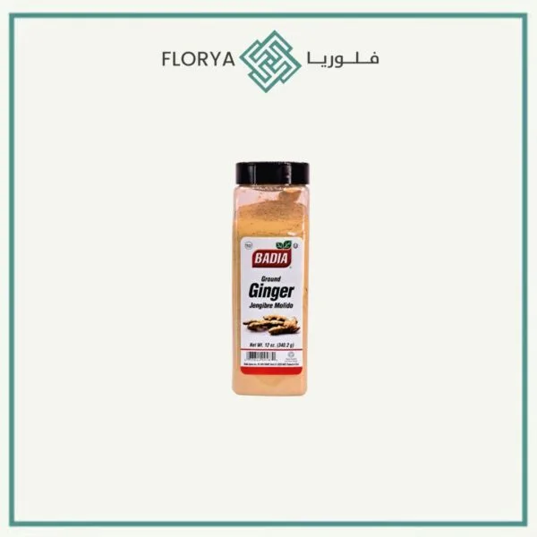 بهارات زنجبيل باديا 340.2 جم